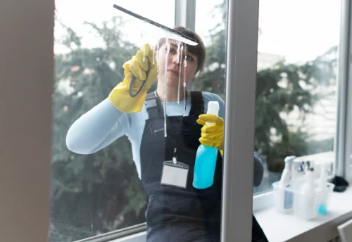 Nettoyage de vitres intérieures et extérieures à Lapenche